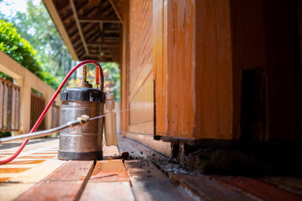 Best Affordable Exterminators  in Paintsville, KY