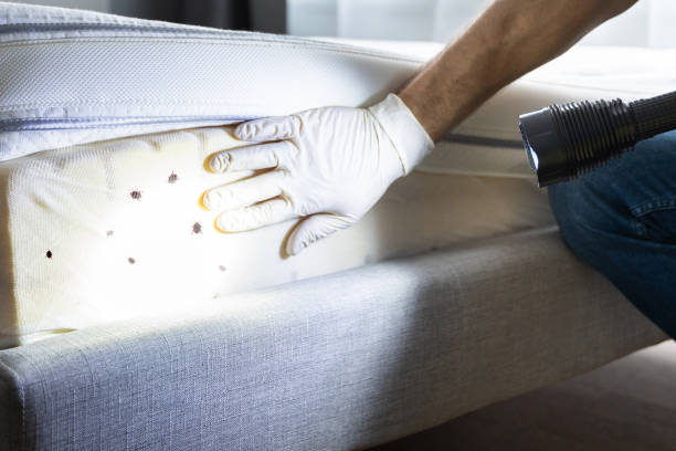 Best Pest Prevention Services  in Paintsville, KY