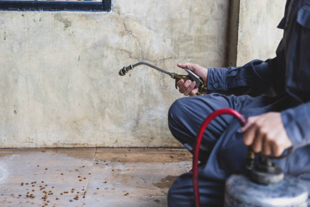 Best Pest Prevention Services  in Paintsville, KY